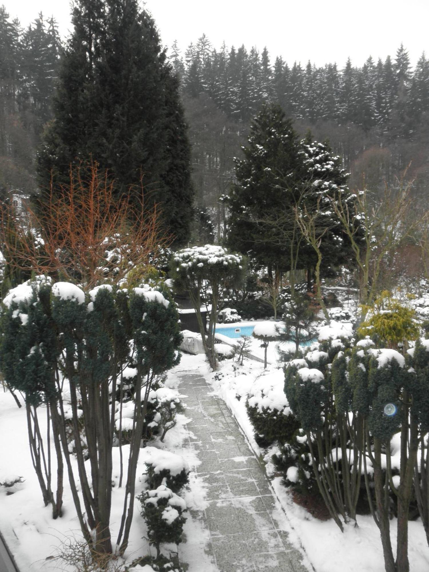 Pension U Kaktusu Karlovy Vary Extérieur photo