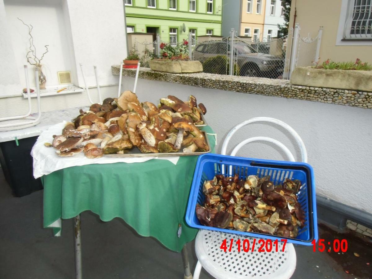 Pension U Kaktusu Karlovy Vary Extérieur photo